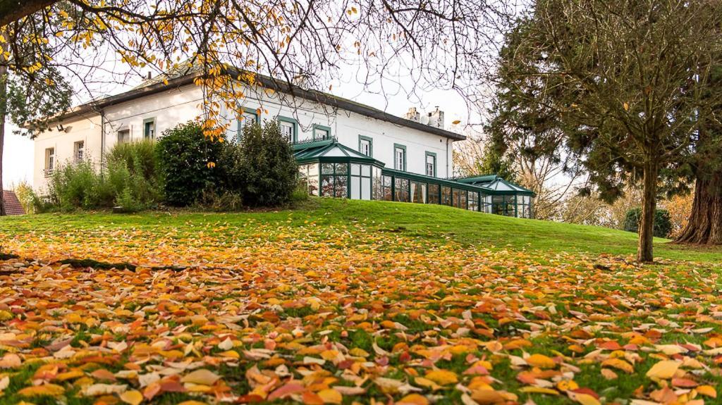 Logis - Hotel Restaurant La Sapiniere Wisques Zewnętrze zdjęcie